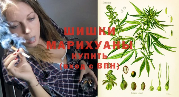 спиды Пестово