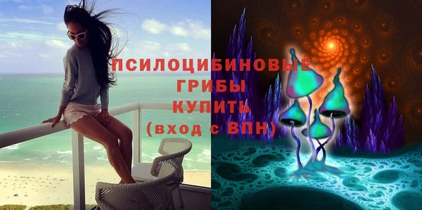 спиды Пестово